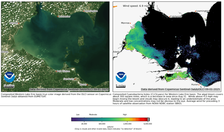 Screen shot of NOAA satelite monitoring of HAB nloom in western Lake Erie basin. 