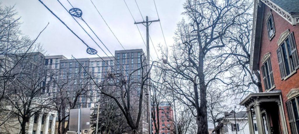 Electrical distribution lines and fiber optic lines, draped between wooden poles, are surrounded by aggressively pruned trees in an urban neighborhood.